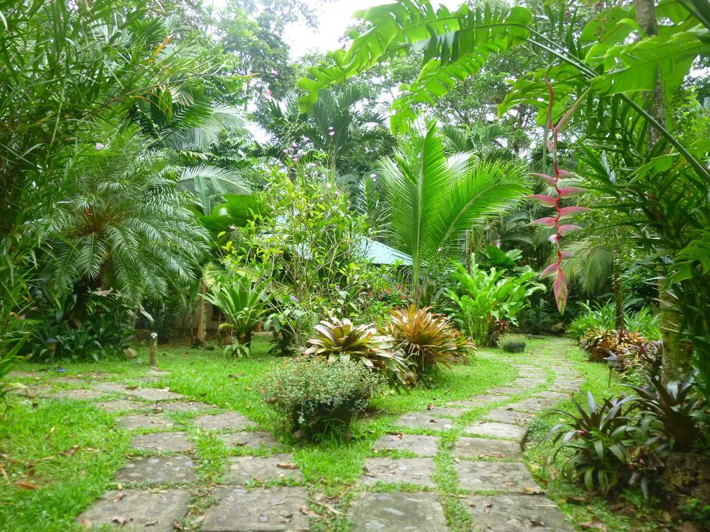 El Nido Jungle Lodge Puerto Viejo de Talamanca Pokoj fotografie