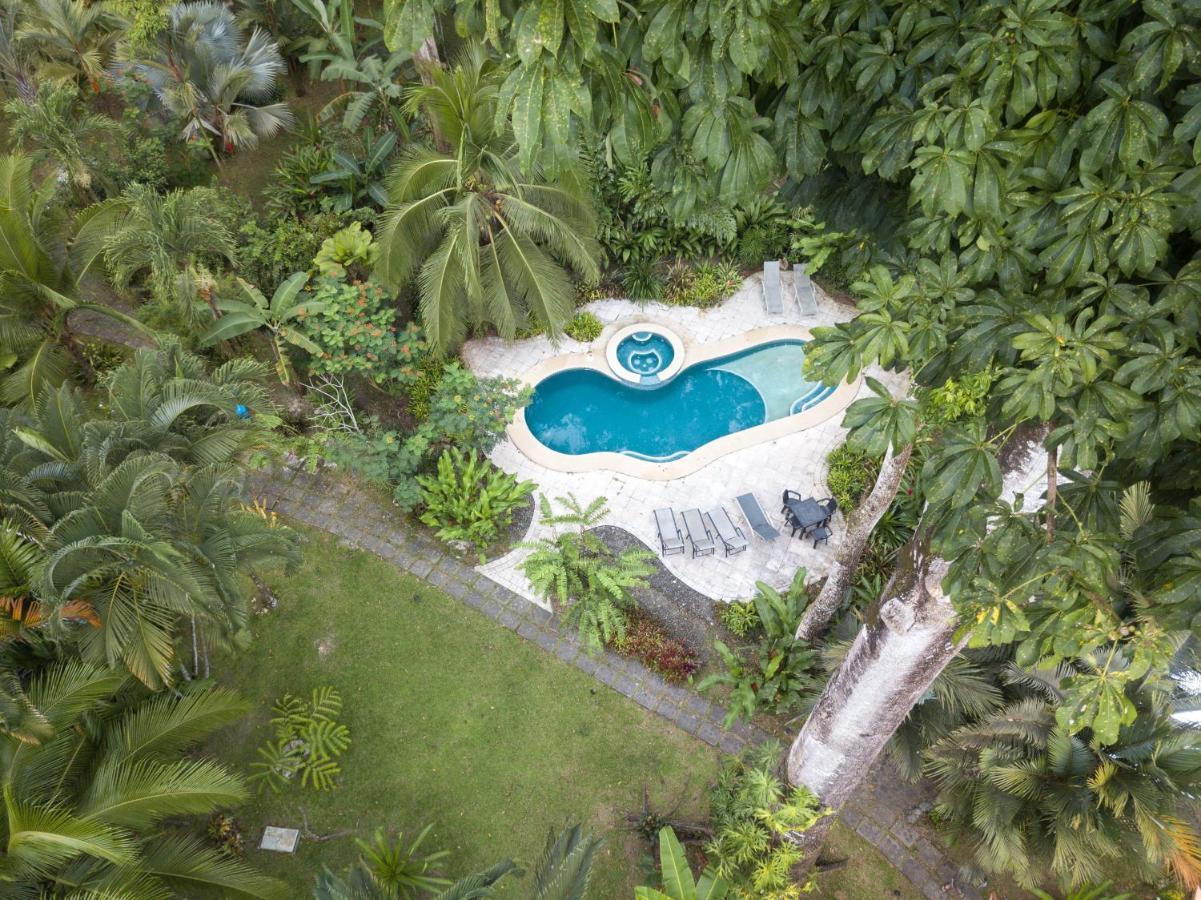El Nido Jungle Lodge Puerto Viejo de Talamanca Exteriér fotografie