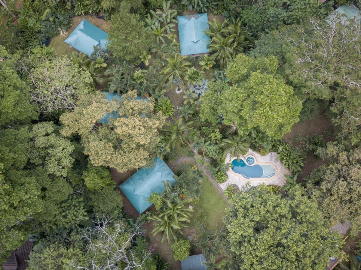 El Nido Jungle Lodge Puerto Viejo de Talamanca Exteriér fotografie