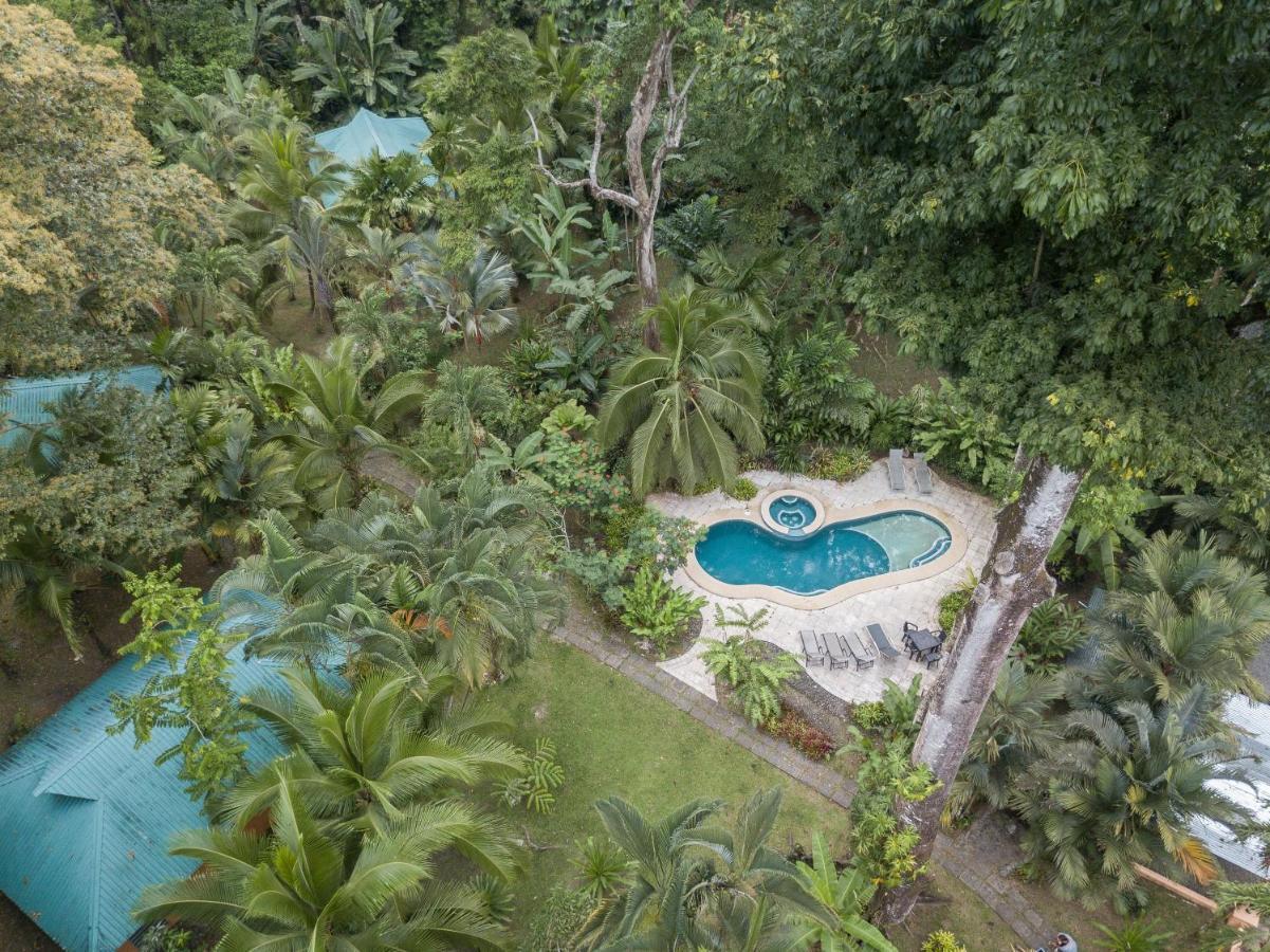 El Nido Jungle Lodge Puerto Viejo de Talamanca Exteriér fotografie