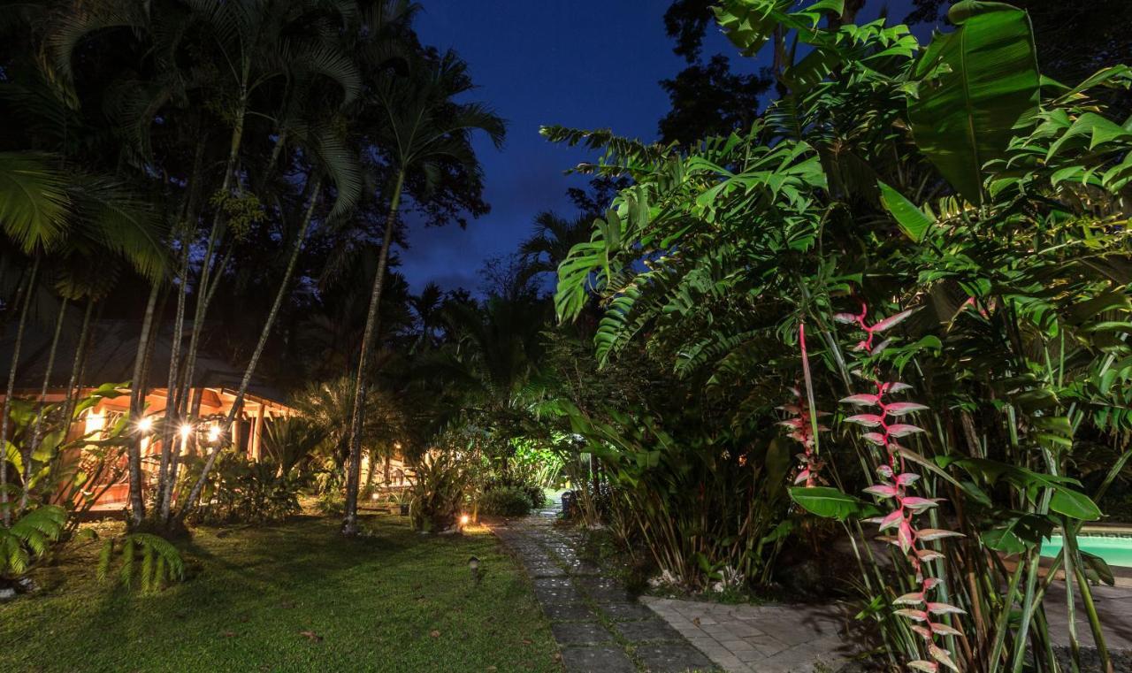 El Nido Jungle Lodge Puerto Viejo de Talamanca Exteriér fotografie