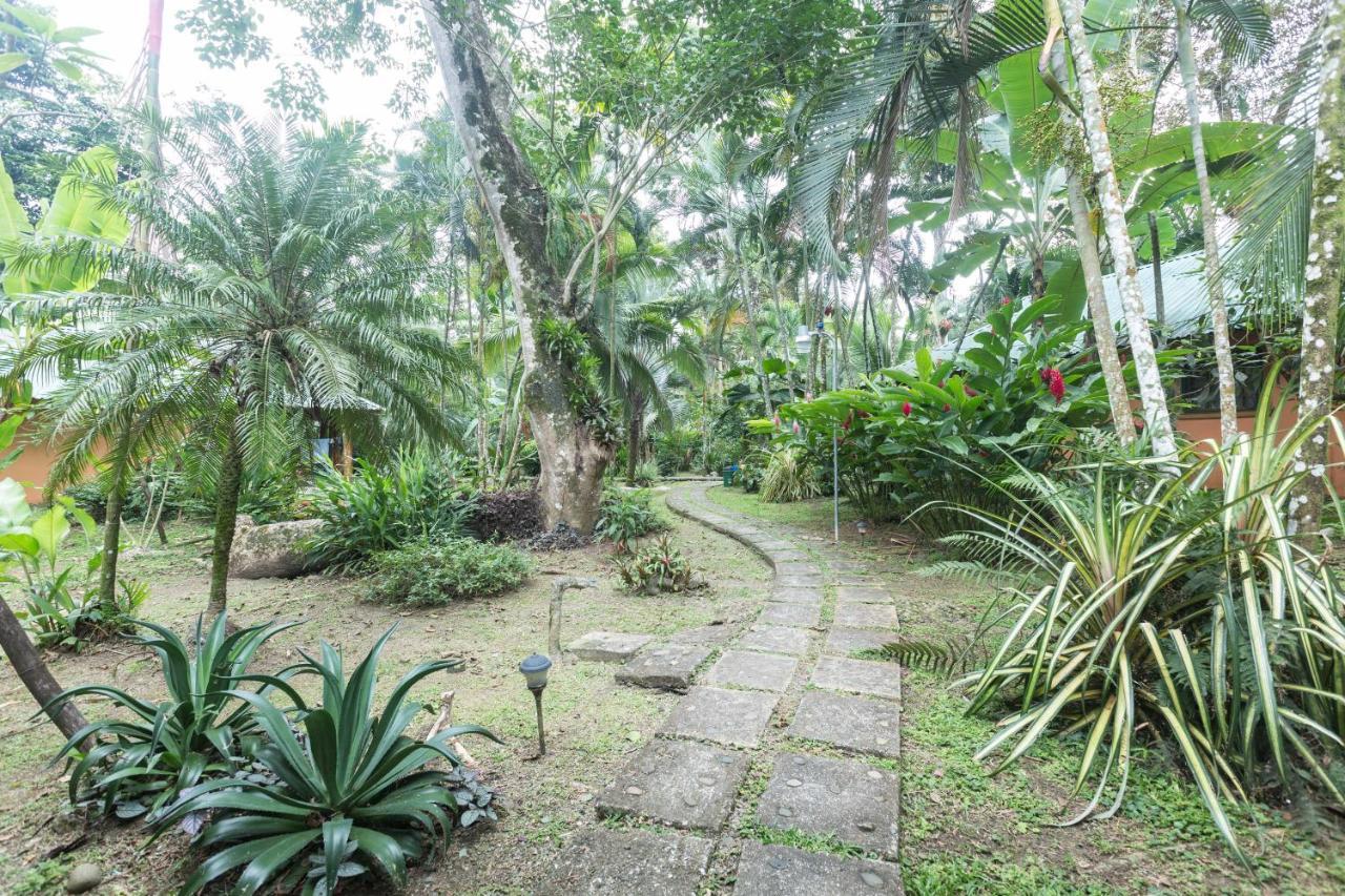 El Nido Jungle Lodge Puerto Viejo de Talamanca Exteriér fotografie