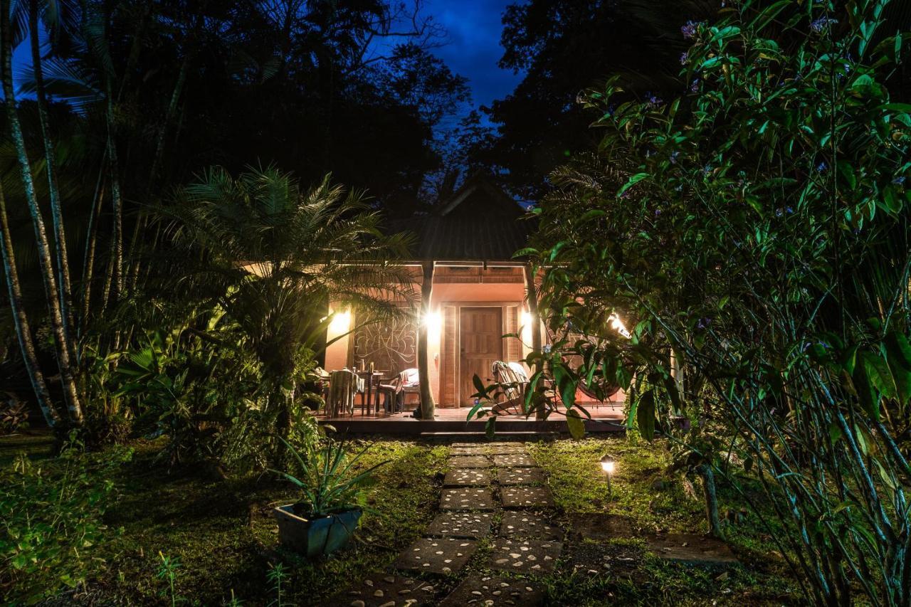 El Nido Jungle Lodge Puerto Viejo de Talamanca Exteriér fotografie